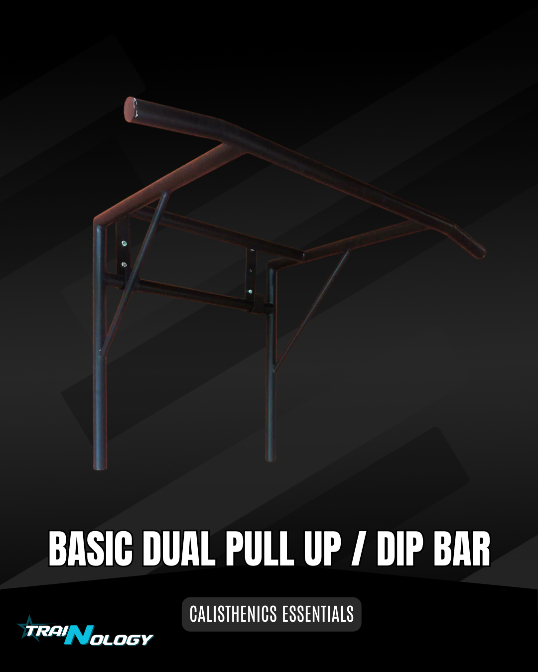 Basic Dual Pull Up / Dip Bar C